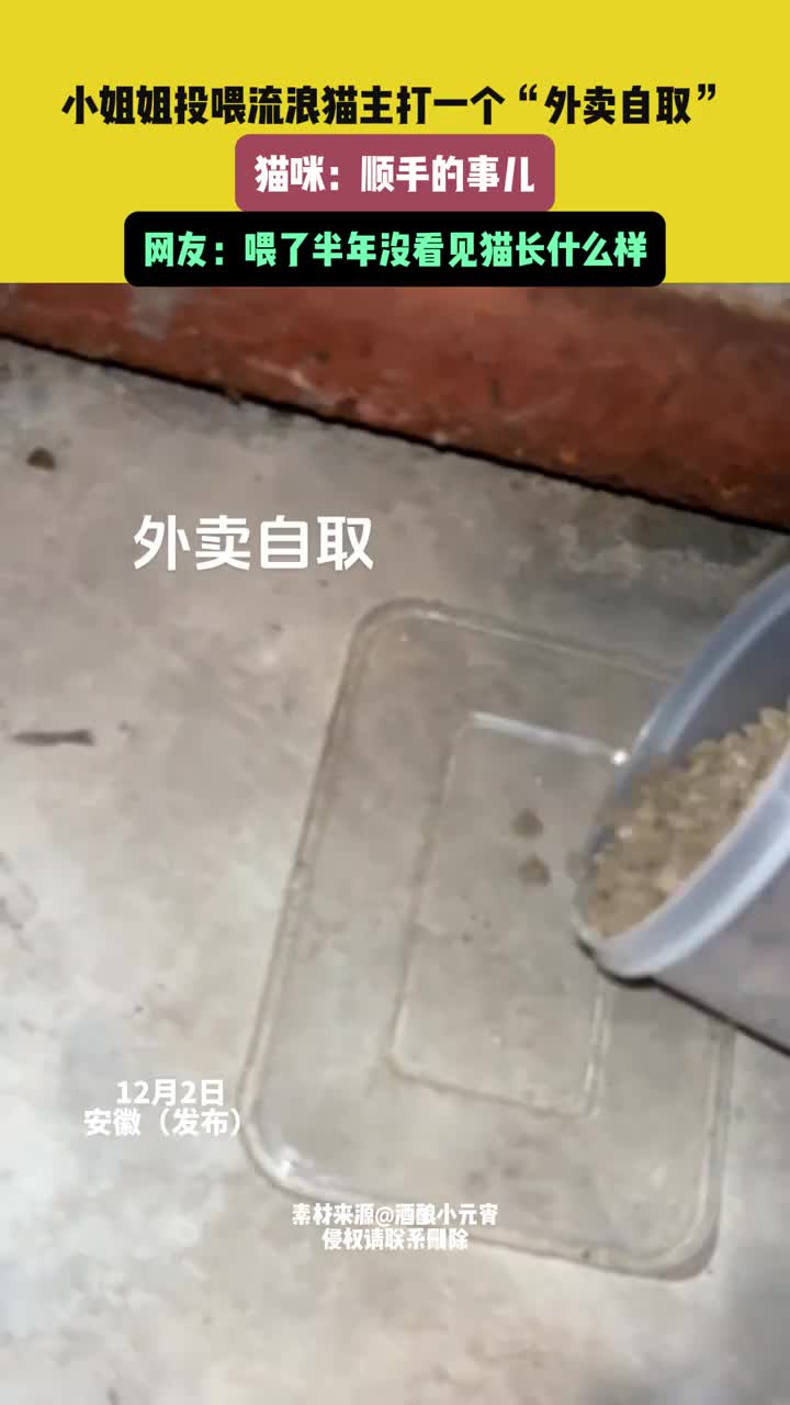 小姐姐投喂流浪猫主打一个“外卖自取”