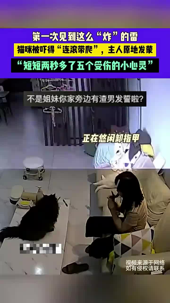一个雷，猫四处逃散，原来猫也怕打雷啊！