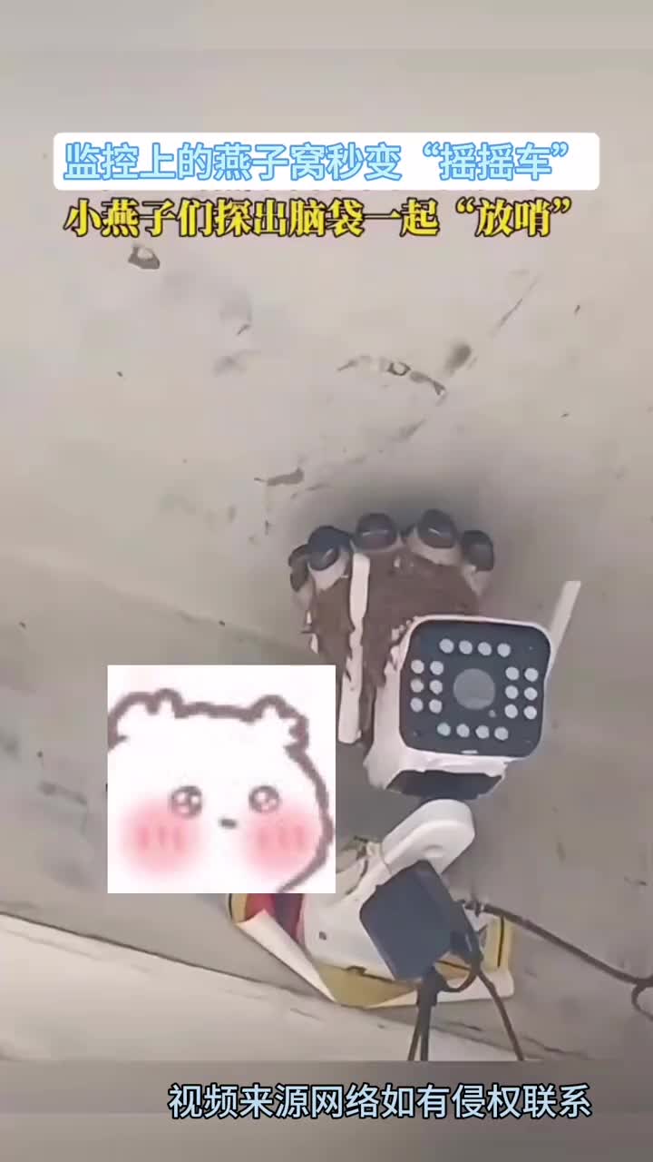 燕子窝牌摇摇车！！