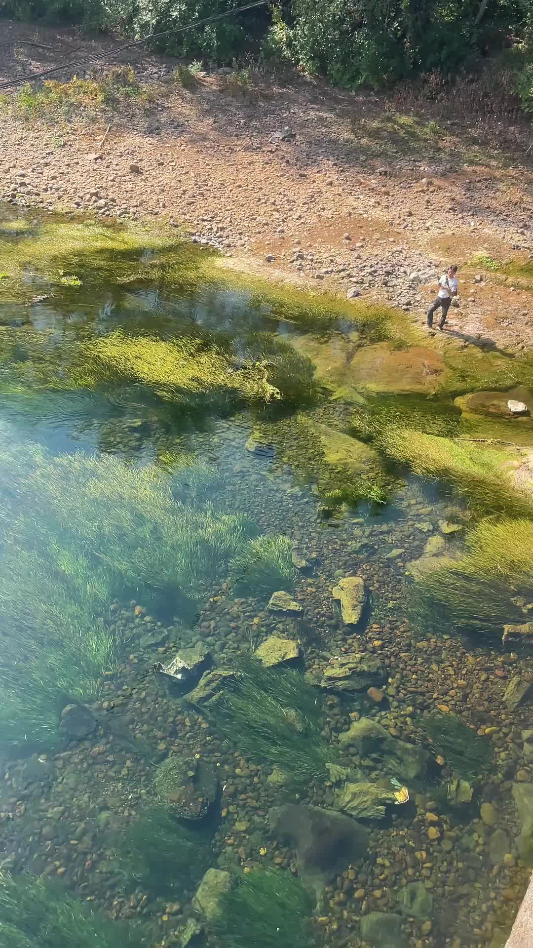 “水至清则无鱼”