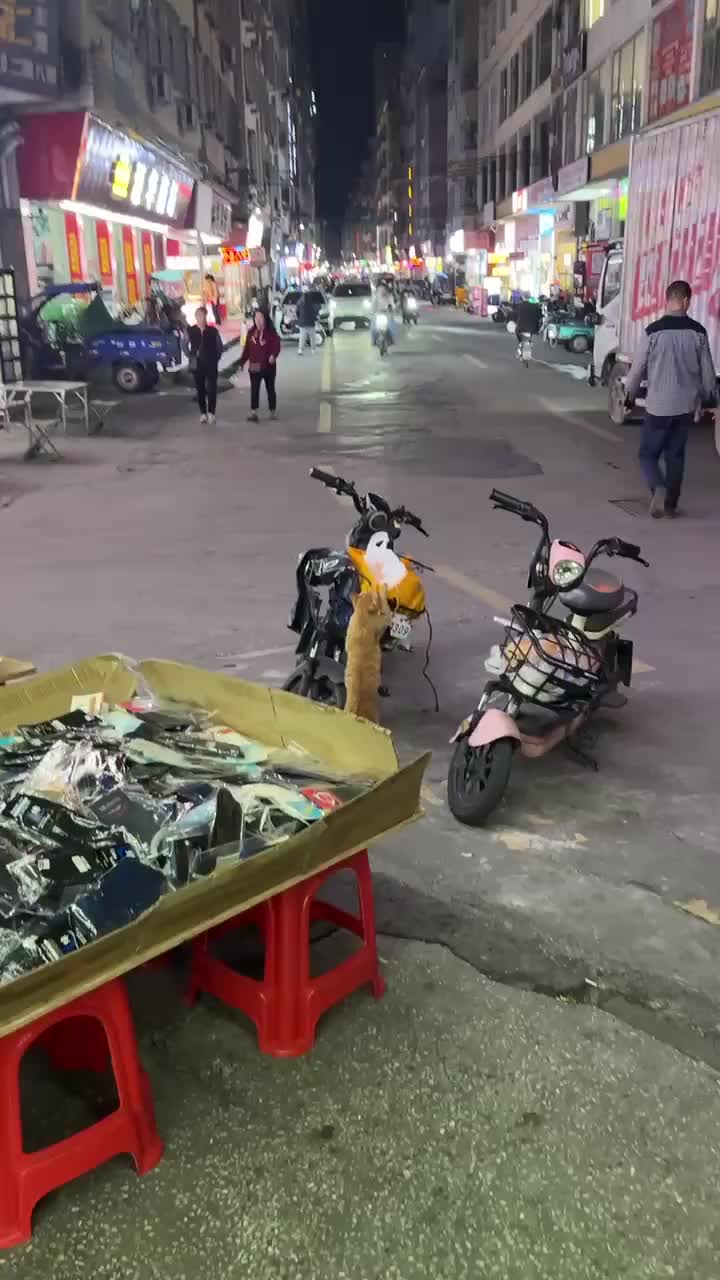 这是贪吃的猫遇上了护食的人类啊！