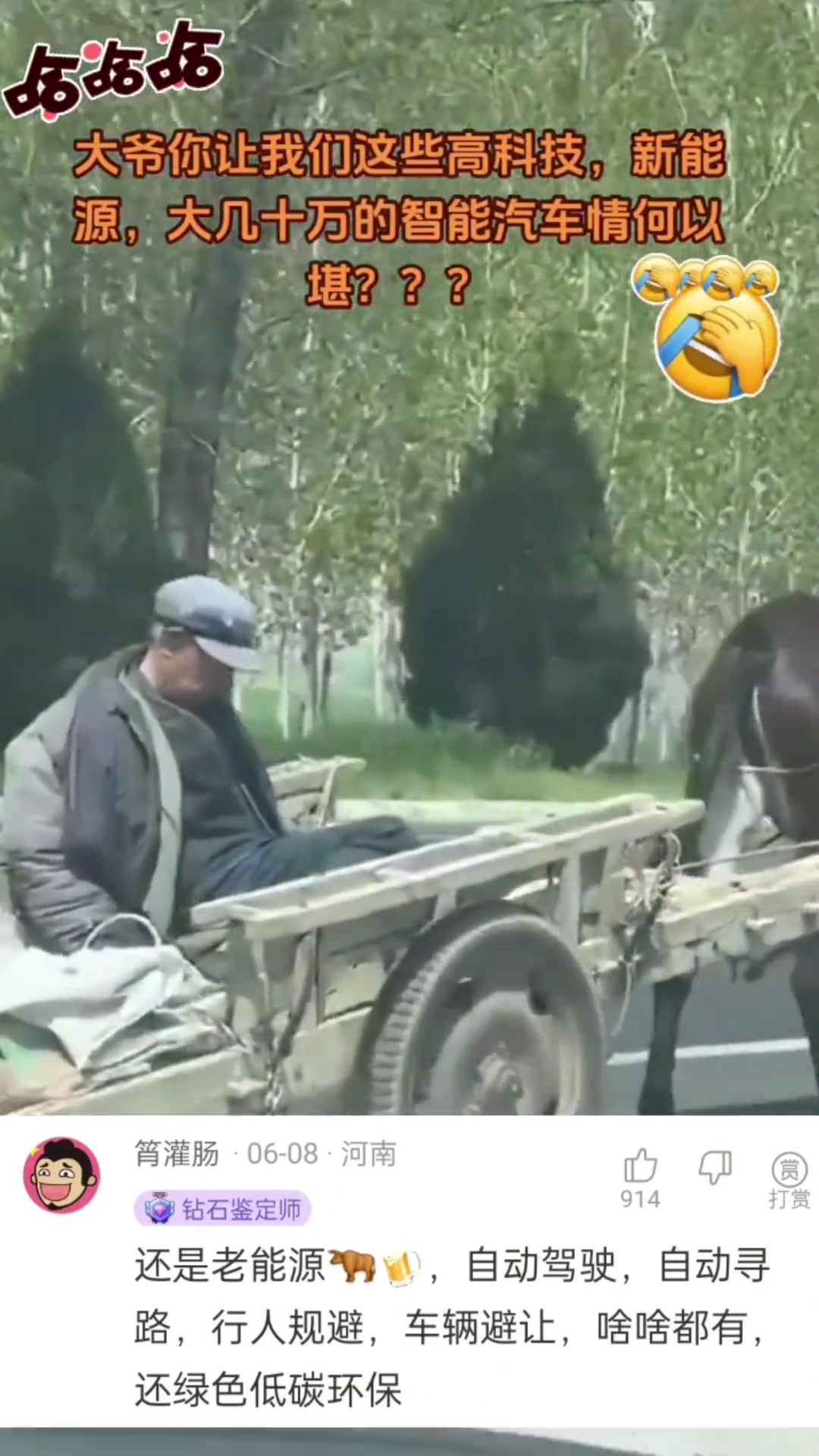 坐木质车身，享智能驴车