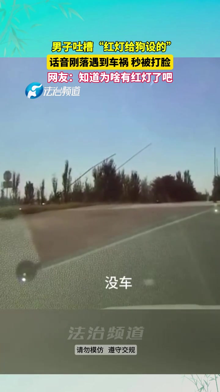 男子驾车吐槽“红灯给狗设的”秒被打脸