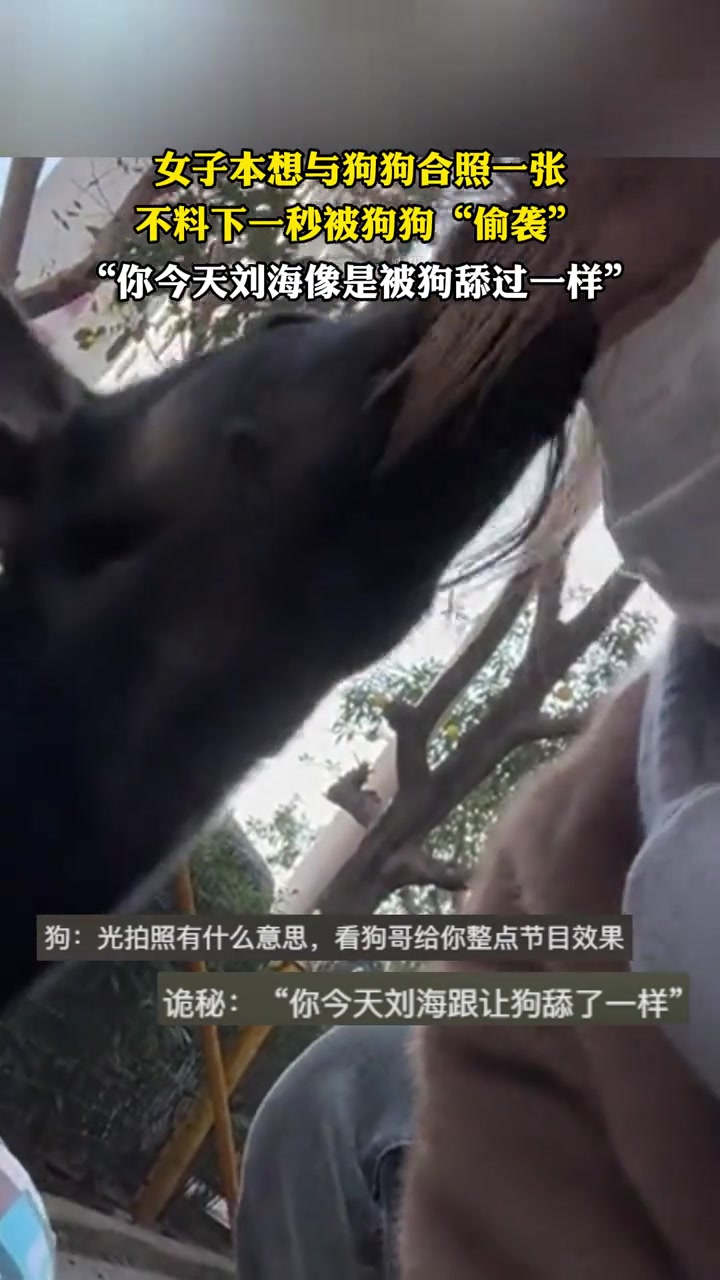 女子本想与狗狗合照一战，不料下一秒被狗狗“偷袭”