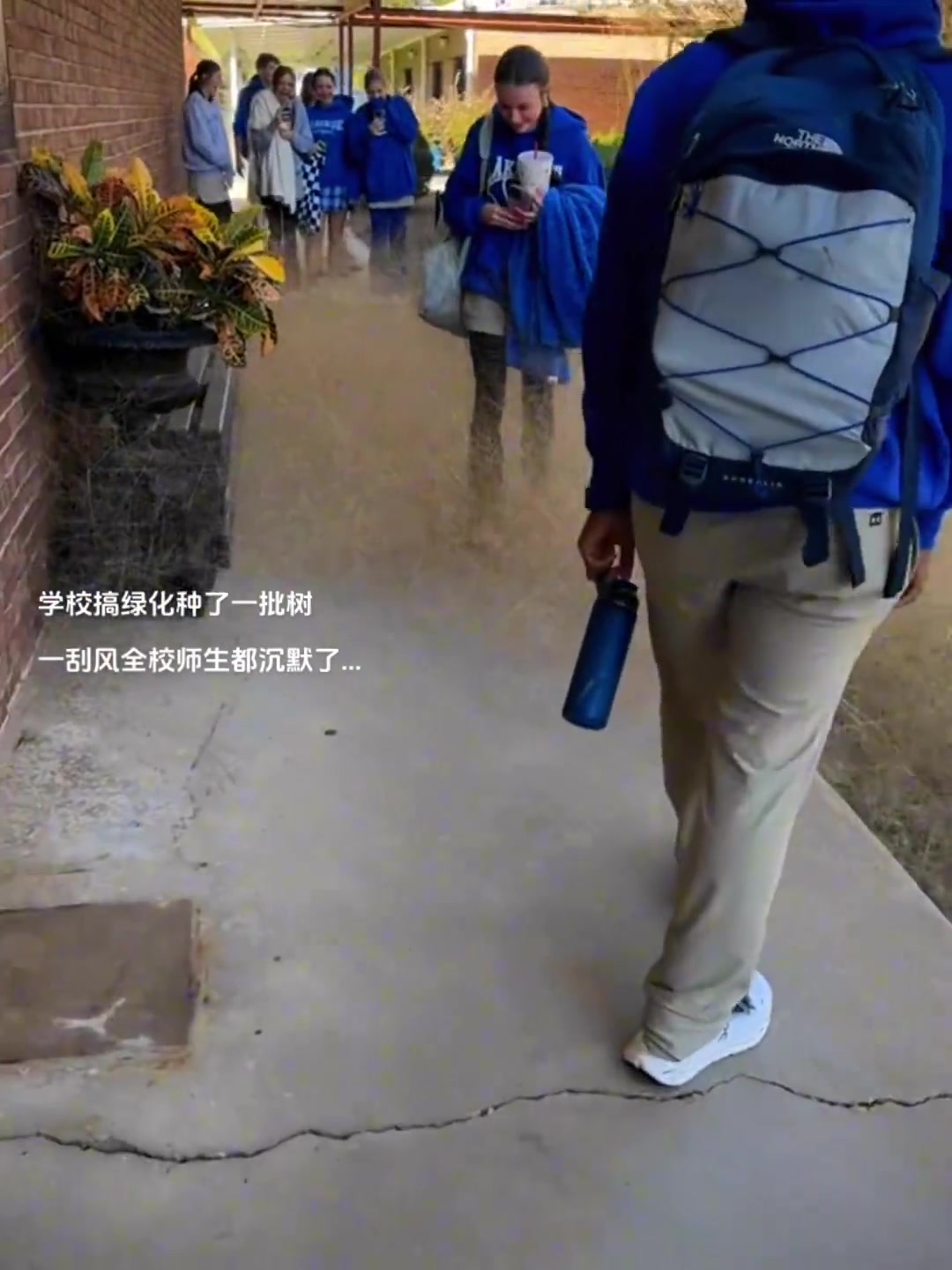 一刮风全校师生都沉默了...