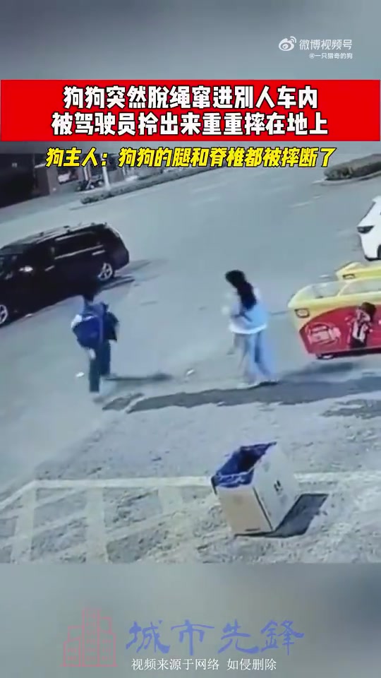 狗狗脱绳窜入别人车内，被驾驶员重摔在地