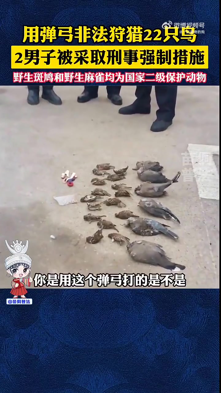 男子用弹弓非法猎鸟22只被采取刑事强制措施