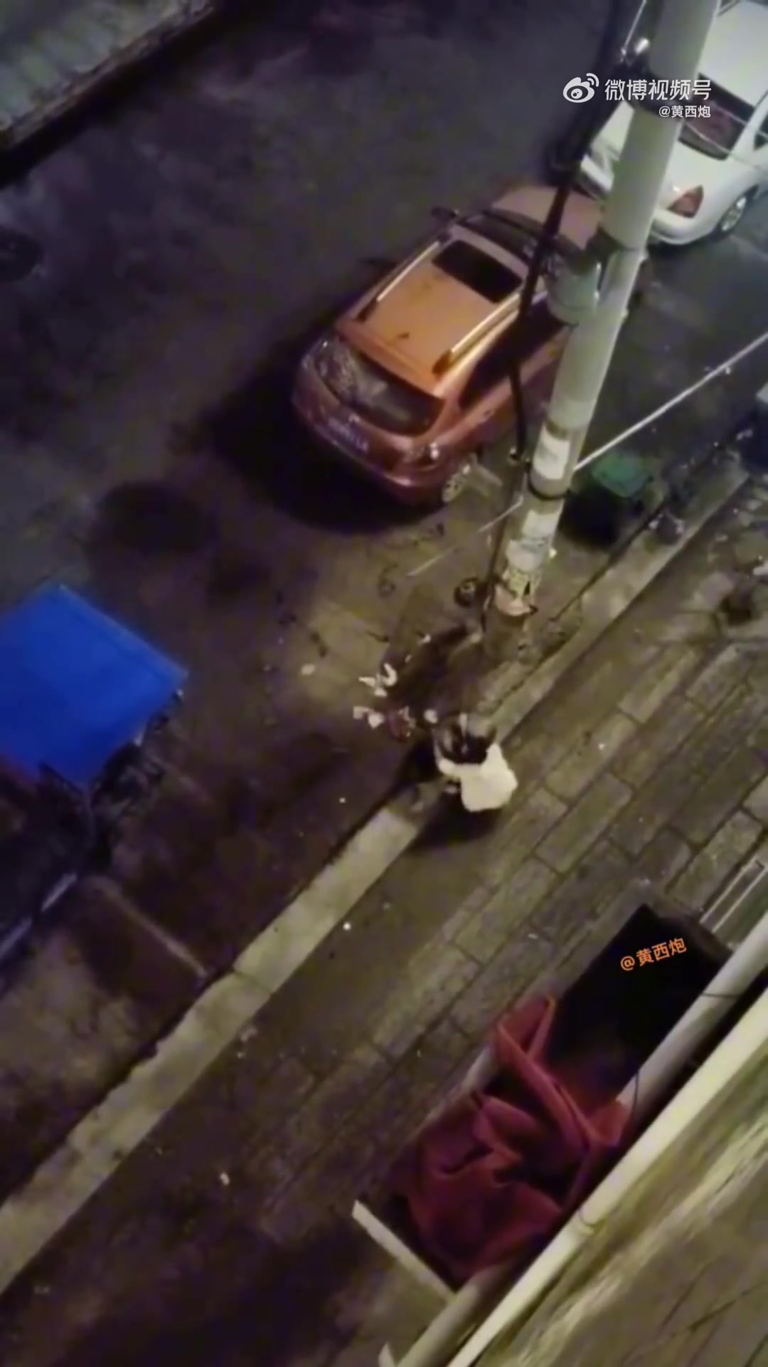 街头抱狗寻安慰，狗却攻击主人，女子诧异不哭了