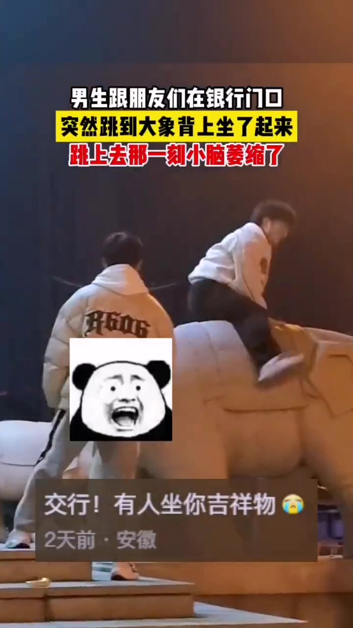 突然跳到大象背上坐了起来跳上去那一刻小脑萎缩了