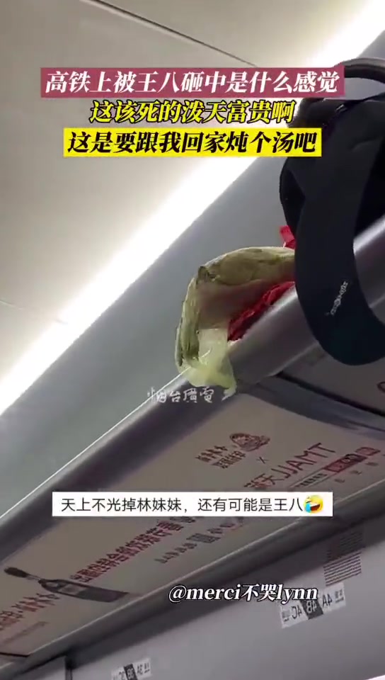 高铁上被王八砸中是什么感觉这泼天的富贵啊就是感觉有点懵