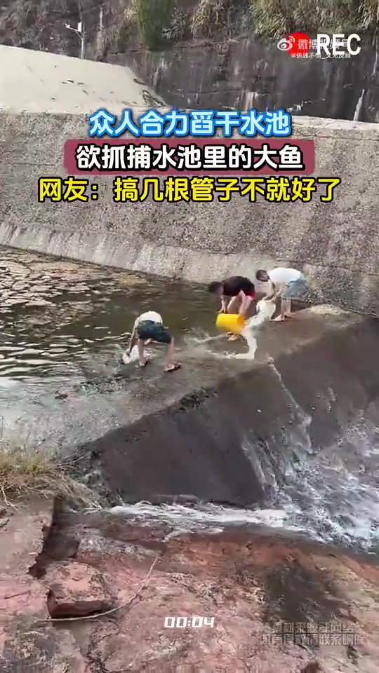 众人舀水池抓大鱼，网友提议用管子