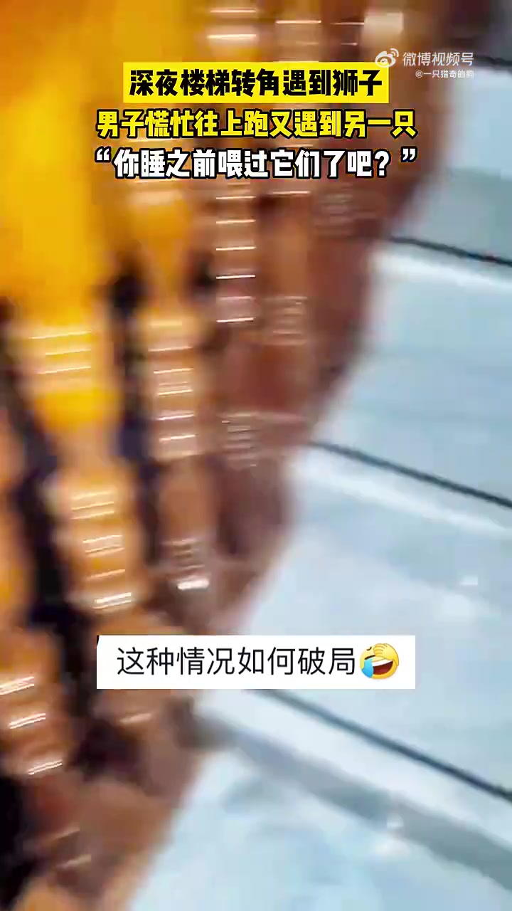 深夜遇狮子，男子往上跑又遇另一只