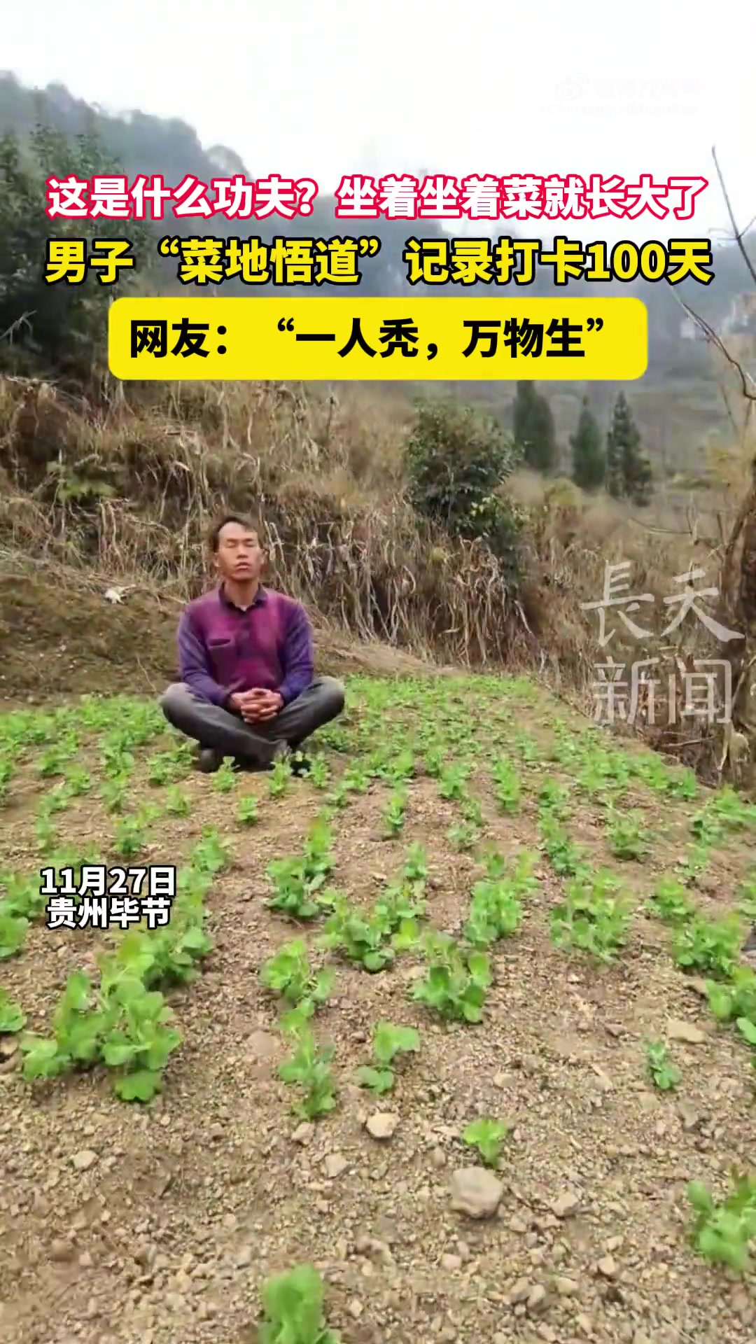作秀还是真悟男子“菜地悟道”，记录打卡100天大家怎么看