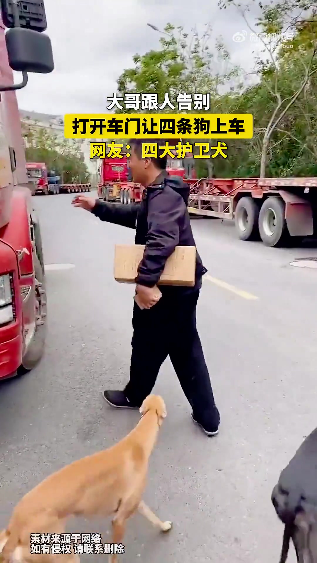 大哥让四条狗上车引热议，爱狗人士：这才是真爱