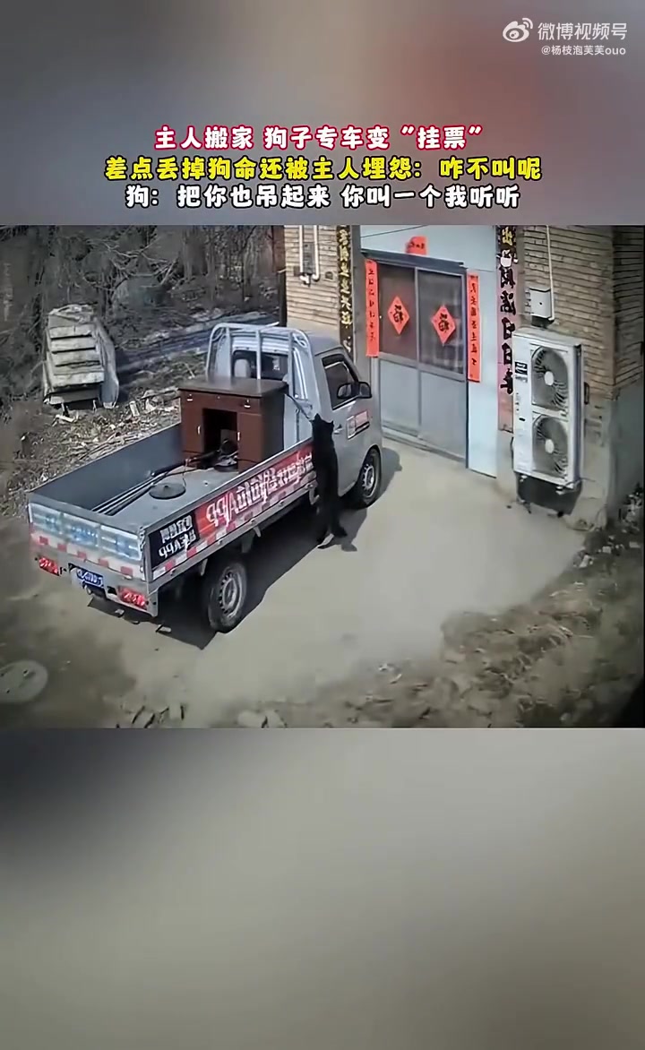 主人搬家狗子挂票险丢命，被埋怨