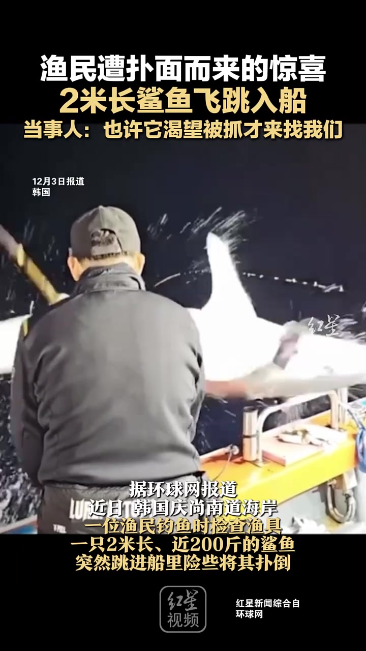 渔民遭扑面而来的惊喜！2米长鲨鱼飞跳入船