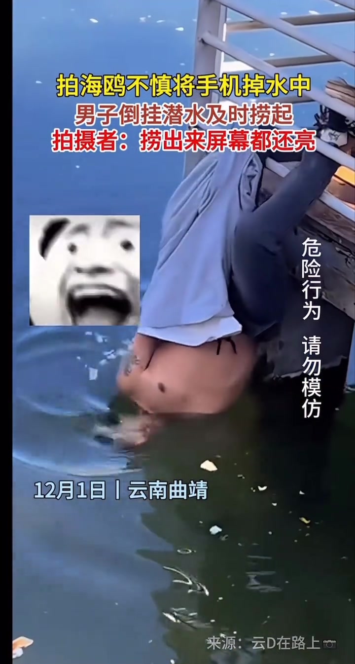 拍海鸥不慎将手机掉水中，男子倒挂潜水及时捞起！