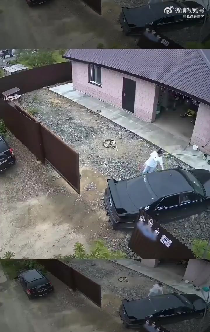 厌蠢症都犯了，这属于什么操作！