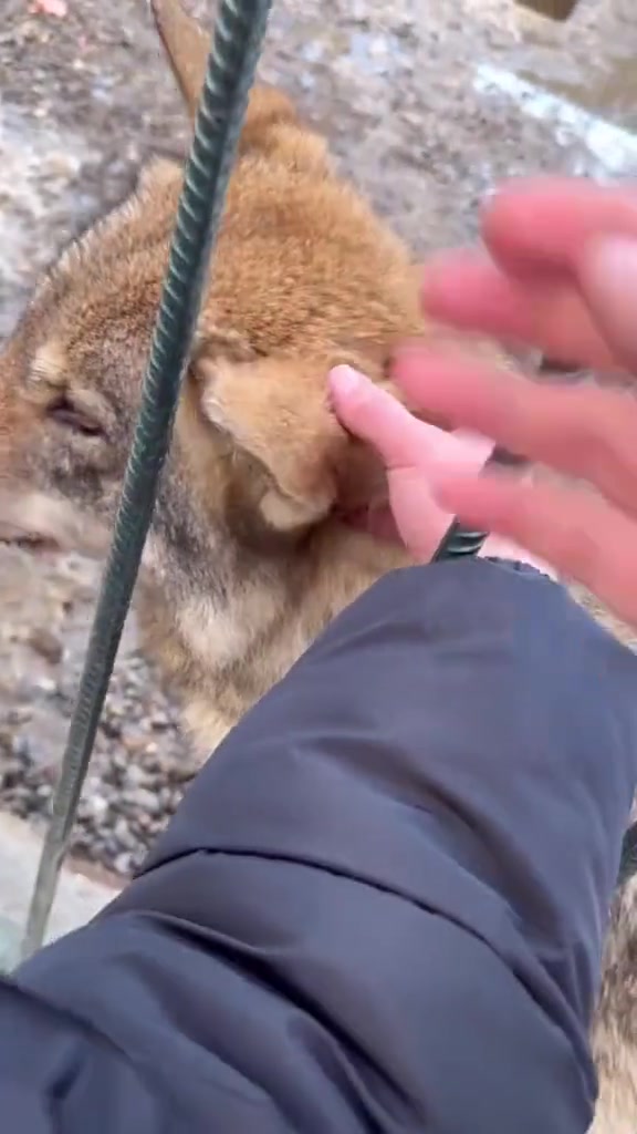 摸摸摸，我叫你摸了吗！