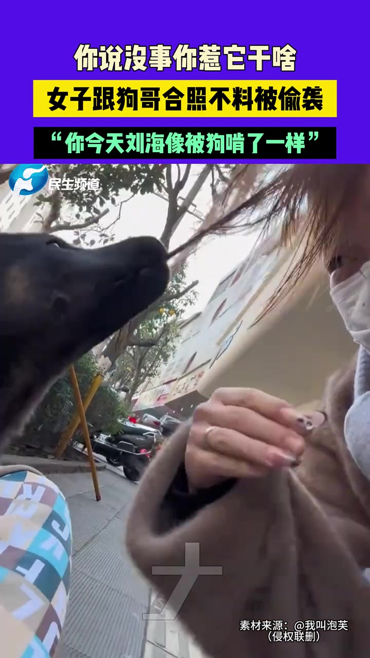 你说没事你惹它干啥女子跟狗哥合照不料被偷袭