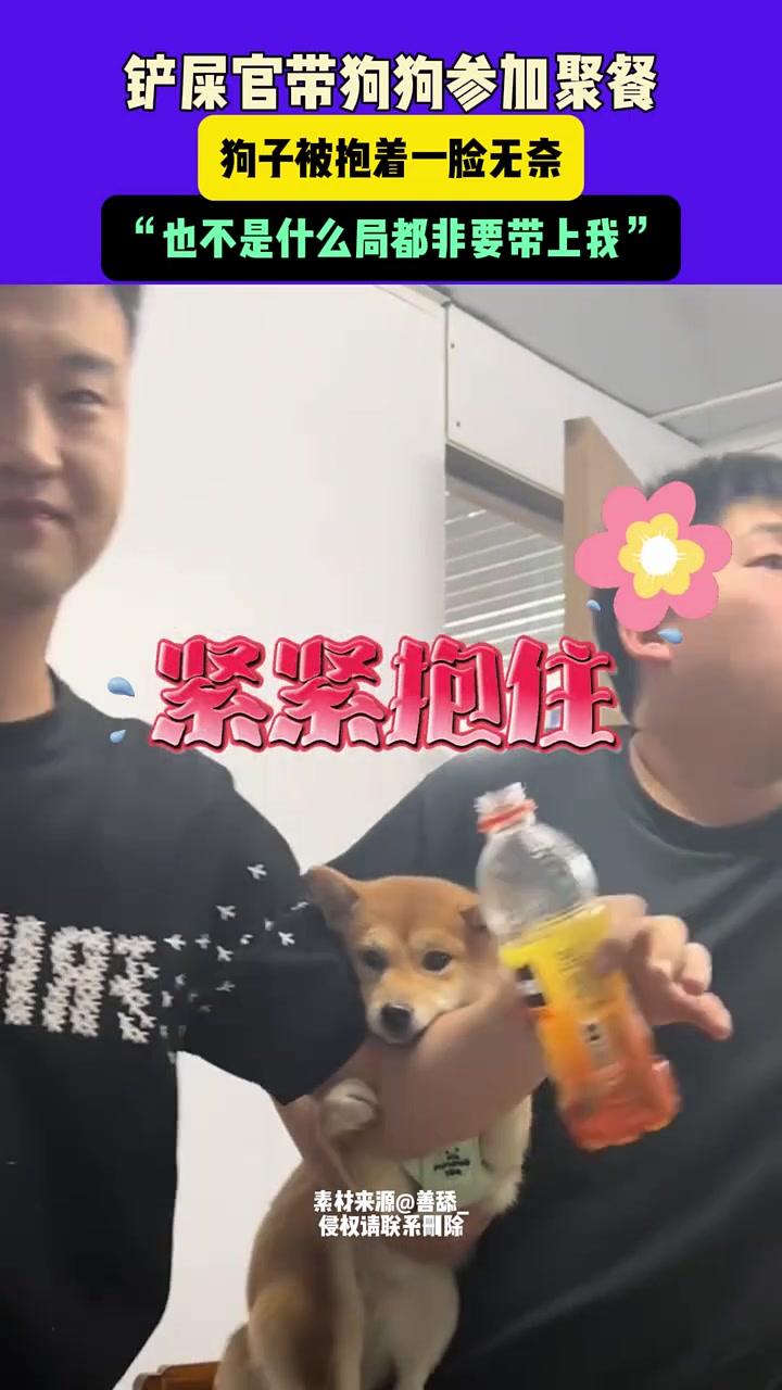 铲屎官带狗狗参加聚餐，狗子被抱着一脸无奈