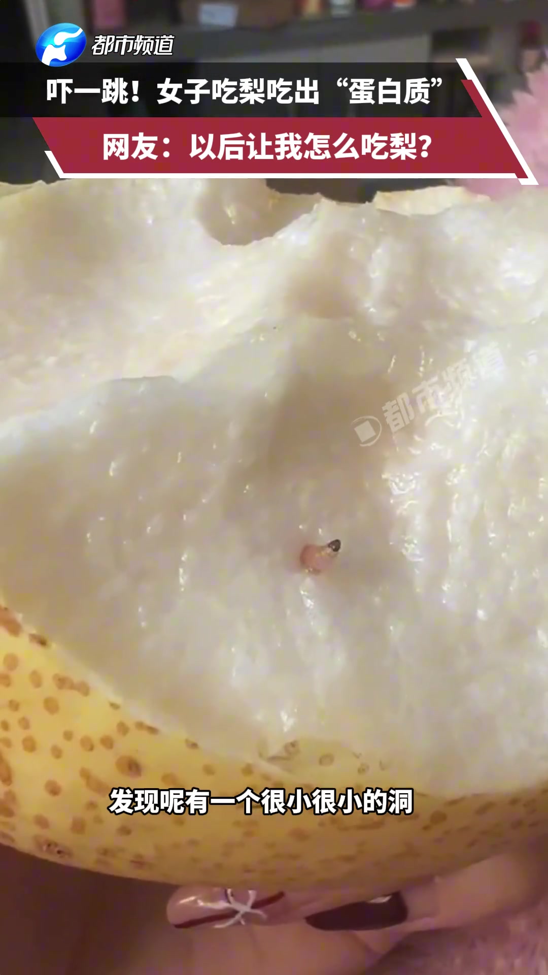 女子吃梨吃出“蛋白质”网友：以后让我怎么吃梨