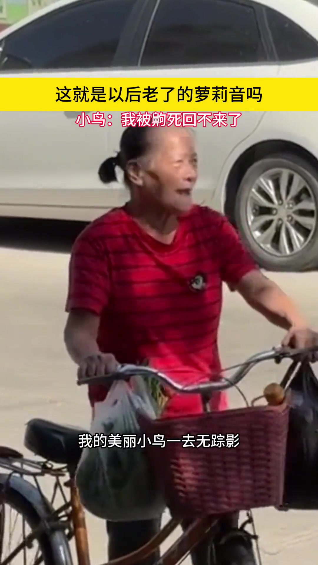 小鸟：我被齁死回不来了