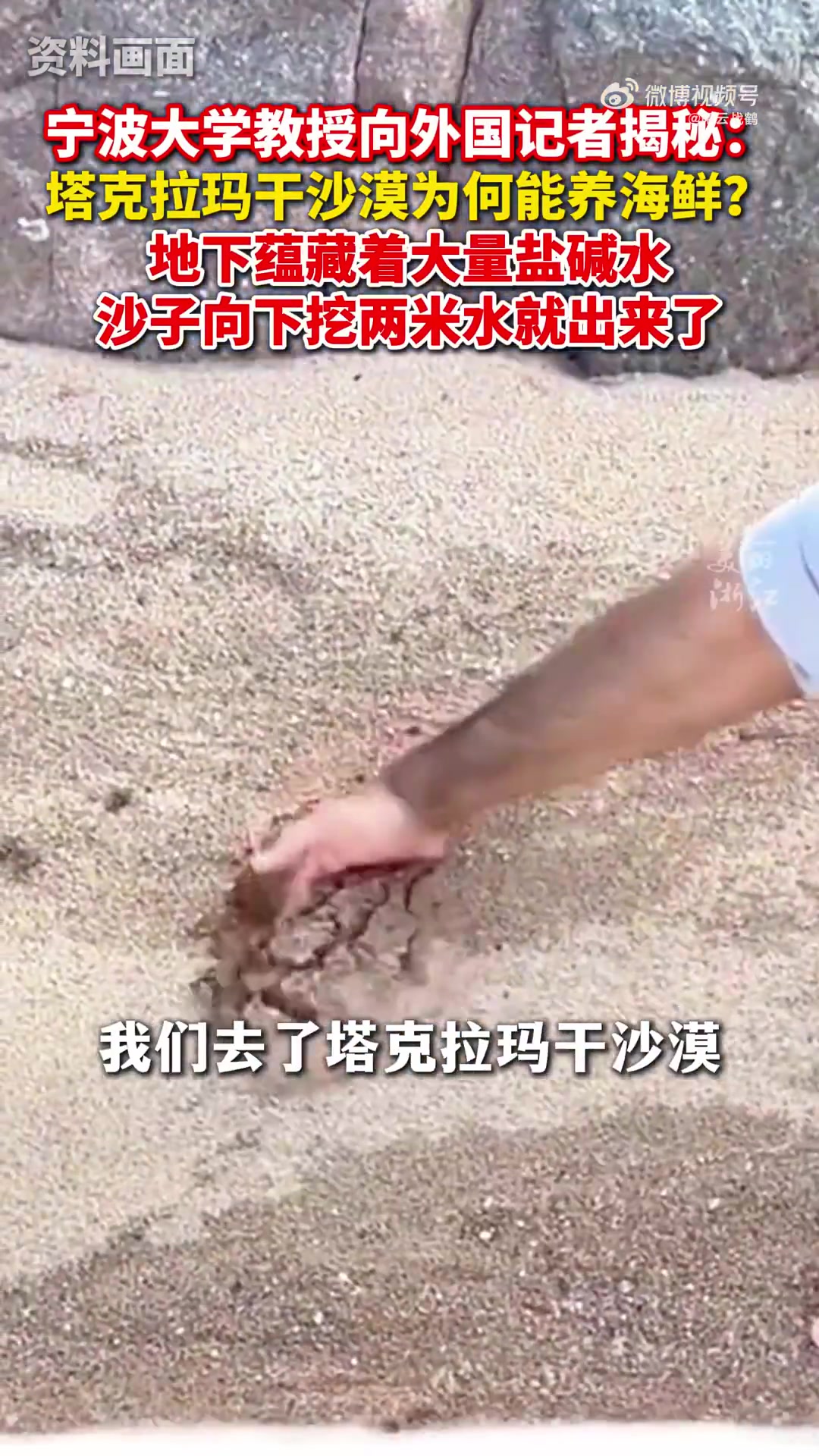 宁波大学教授揭秘塔克拉玛干沙漠为何能养海鲜