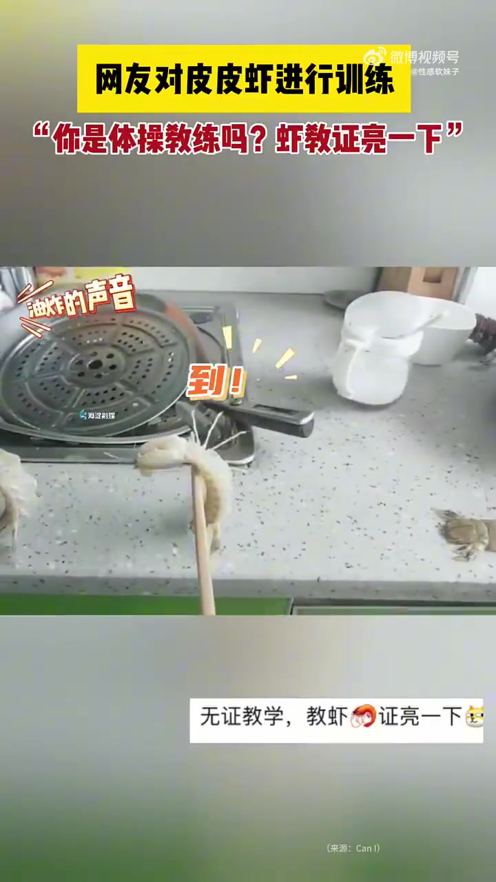 皮皮虾都能被训练啦
