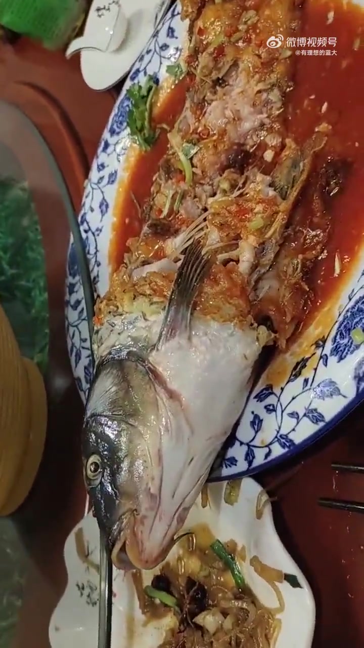 有些鱼活着，却已经死了