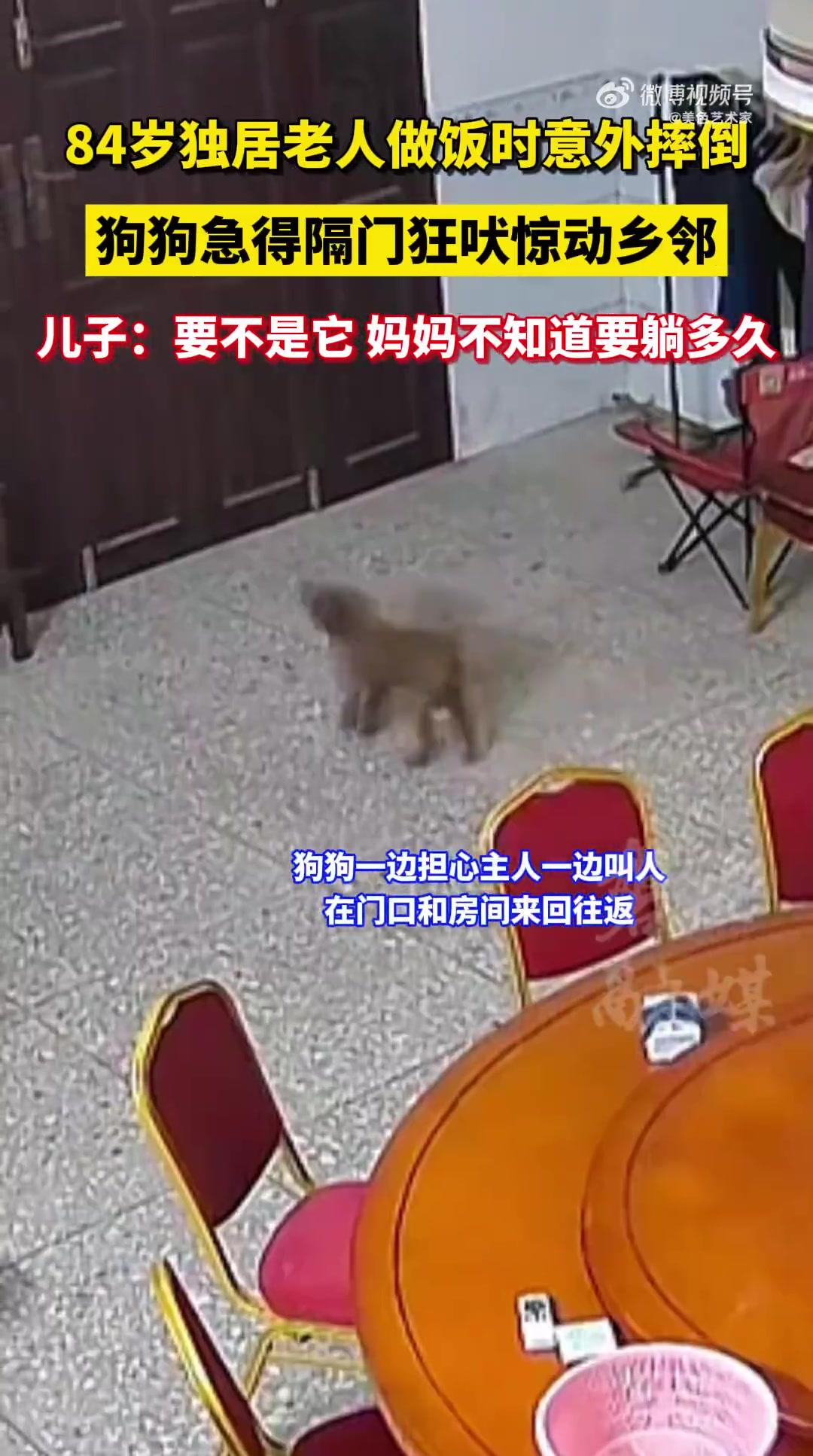84岁老人做饭摔倒，狗狗隔门狂吠引乡邻来援