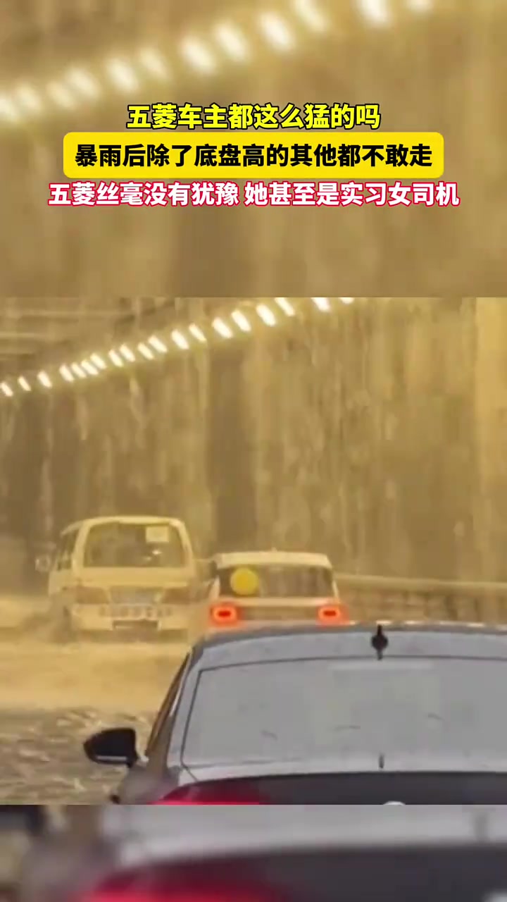 初生牛犊不怕虎呀