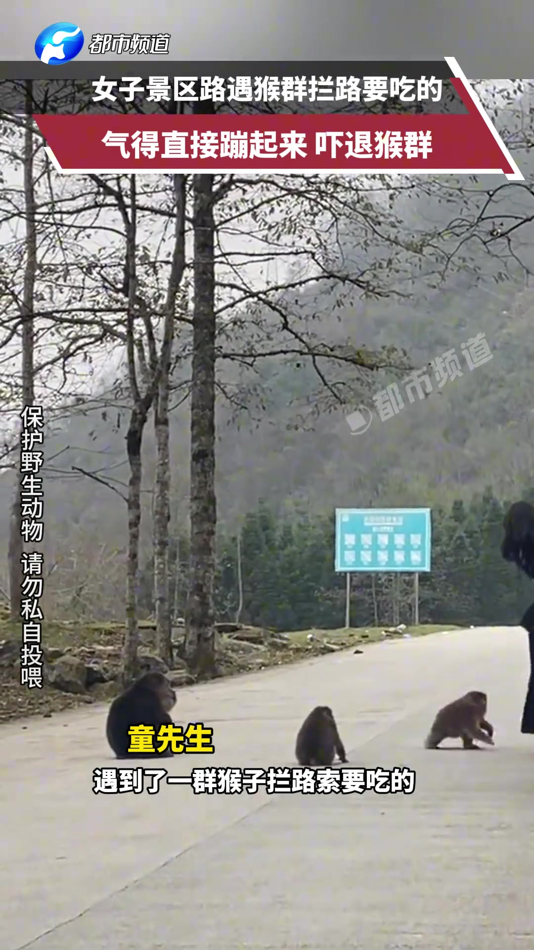 女子景区路遇猴群拦路要吃的，气得直接蹦起来，吓退猴群