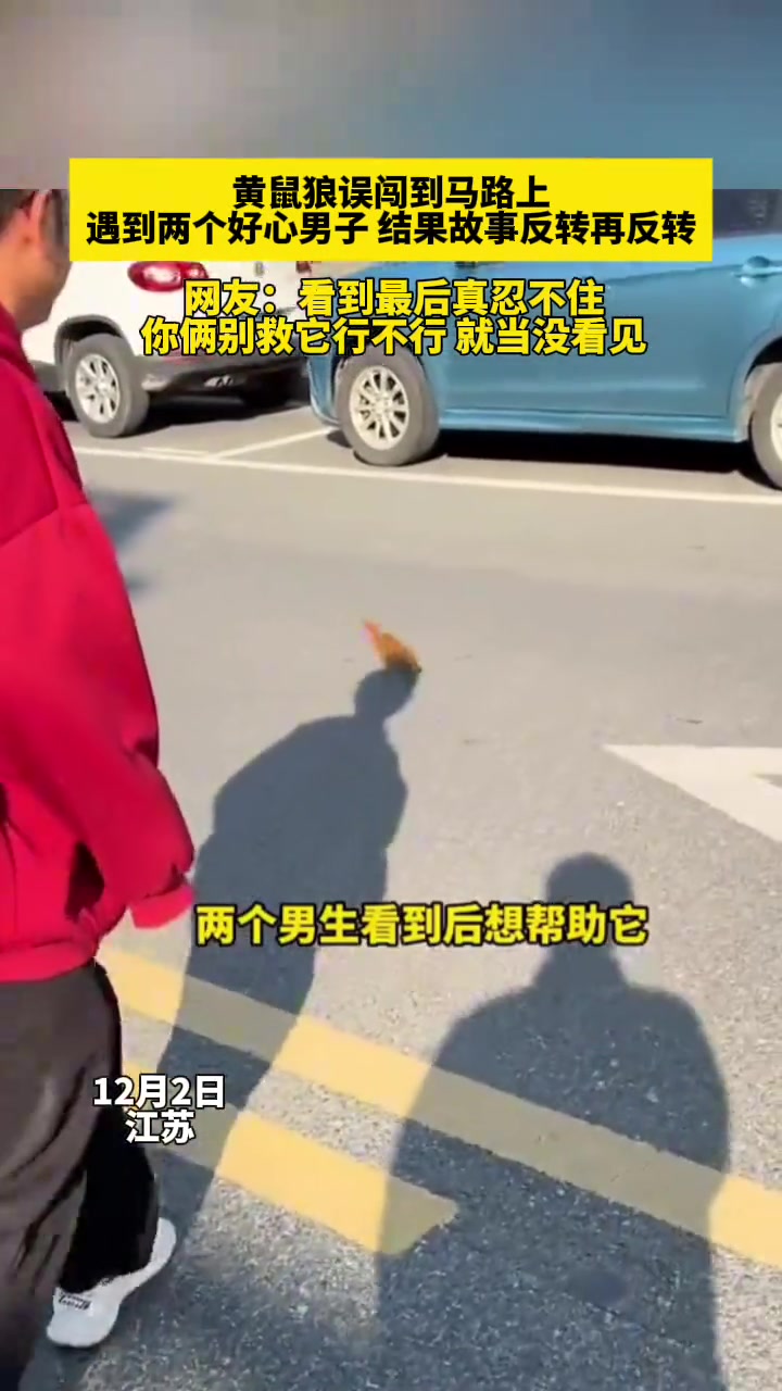 黄鼠狼：我本来好好的