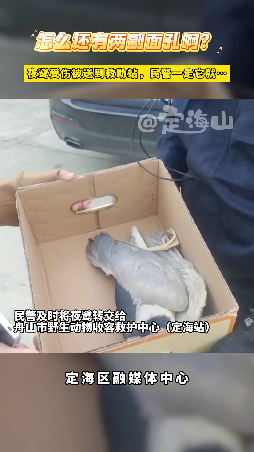 怎么还有两幅面孔啊