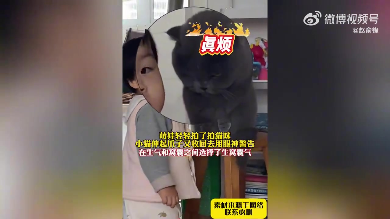萌娃轻拍猫咪，小猫伸爪又收回，眼神警告