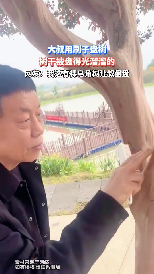 大叔用刷子盘树，树干被盘得光溜溜的