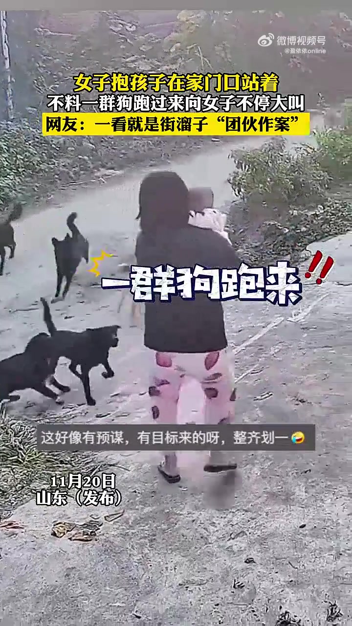 女子抱孩子在家门口站着，不料一群狗跑过来向女子不停大叫