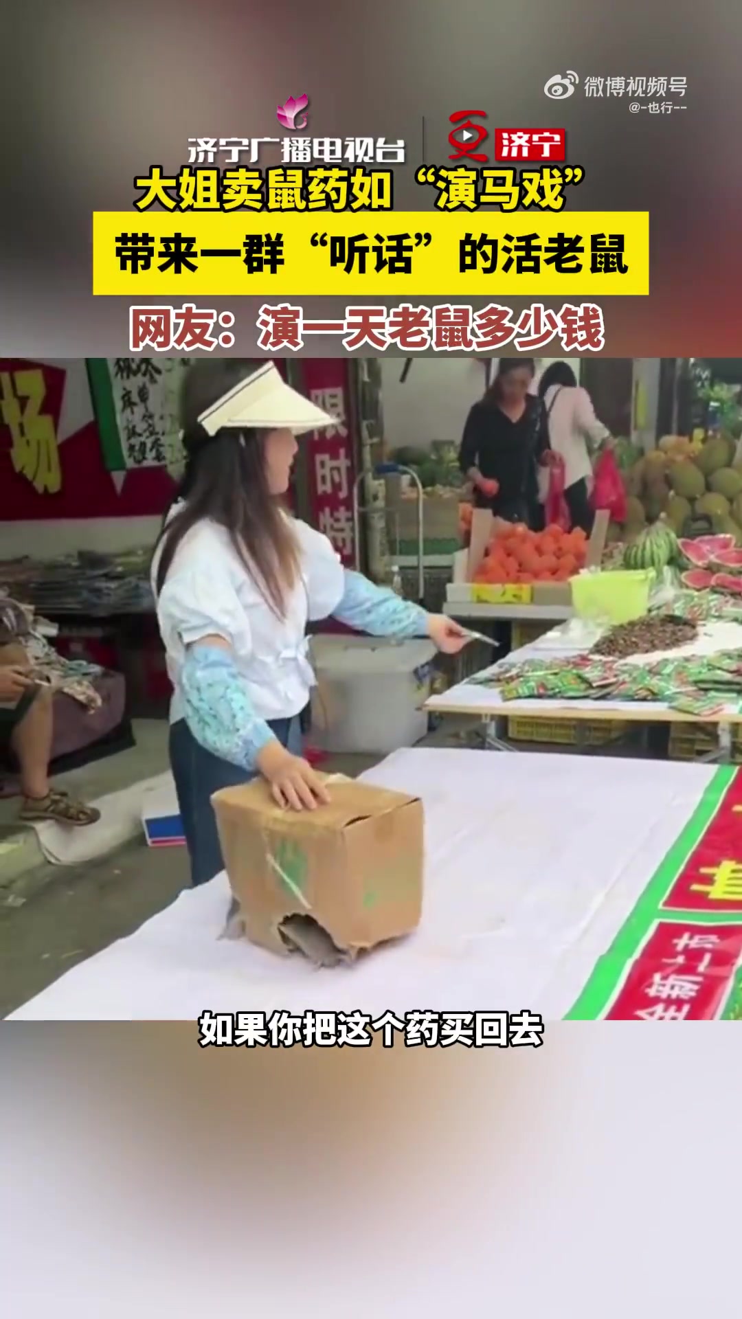 大姐卖鼠药如演马戏，带来一群“听话”的活老鼠