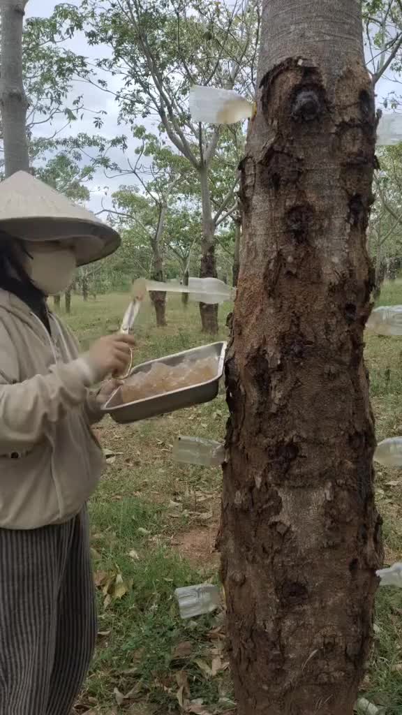 这个是啥啊，也不像是橡胶啊！！