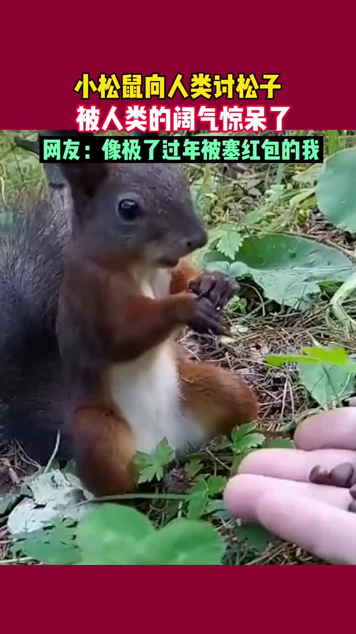 松鼠：这怪物家这么富裕