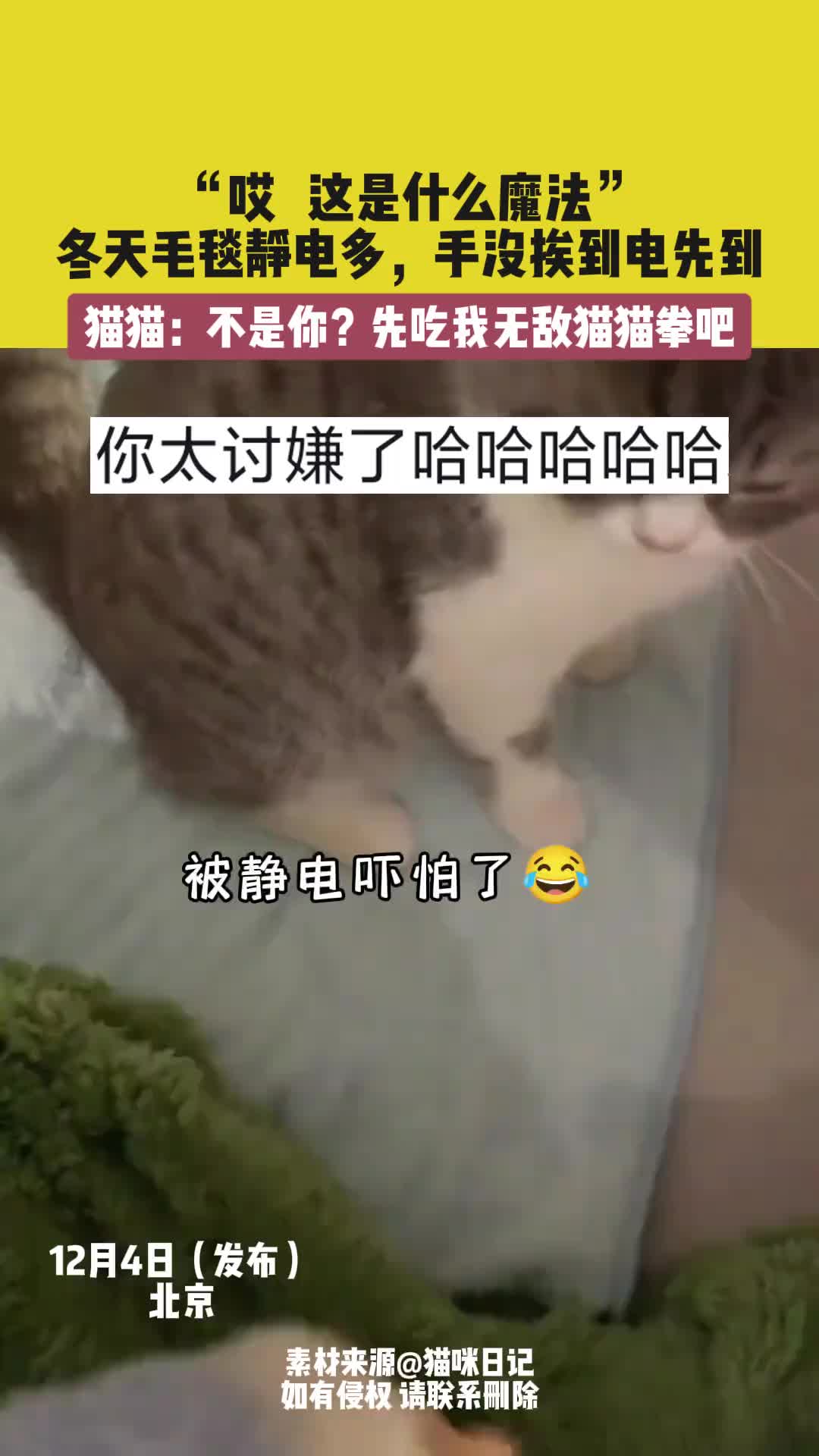 猫咪：你这是什么魔法啊！！！！