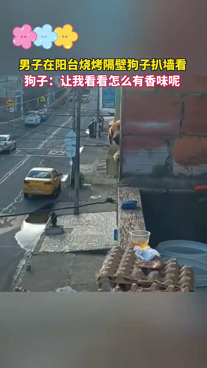 男子在阳台烧烤，隔壁狗子扒墙看