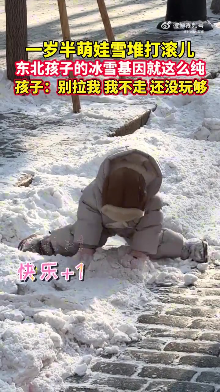 一岁半萌娃雪堆打滚儿，东北孩子的冰雪基因就这么纯