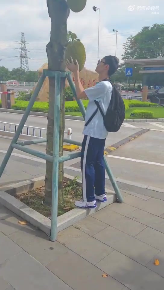 就说交了学费，不拿点东西说不过去！