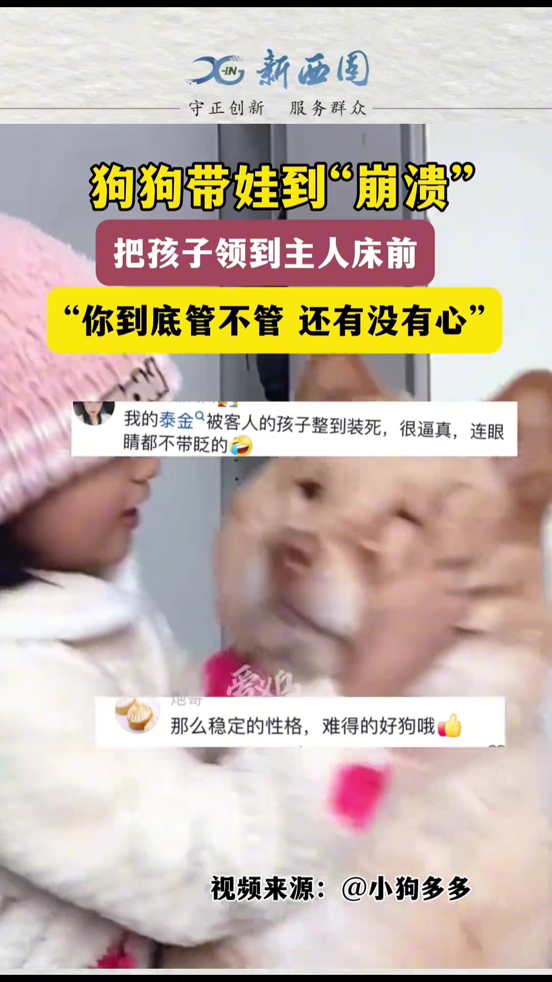 狗狗带娃到“崩溃”，把孩子领到主人面前“诉苦”