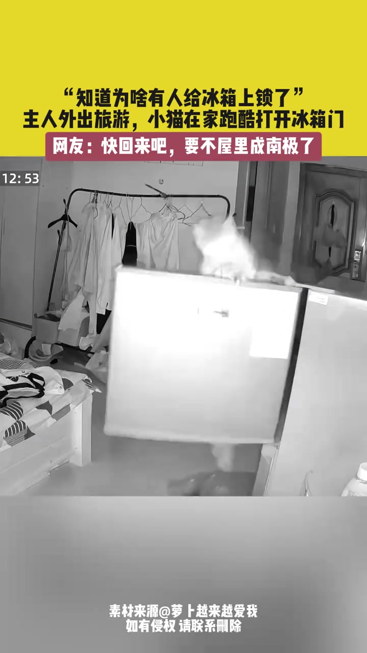 主人外出旅游，小猫在家跑酷打开冰箱门