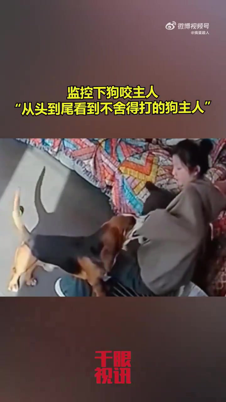 监控下狗咬主人，主人不舍得打，全程被拍下