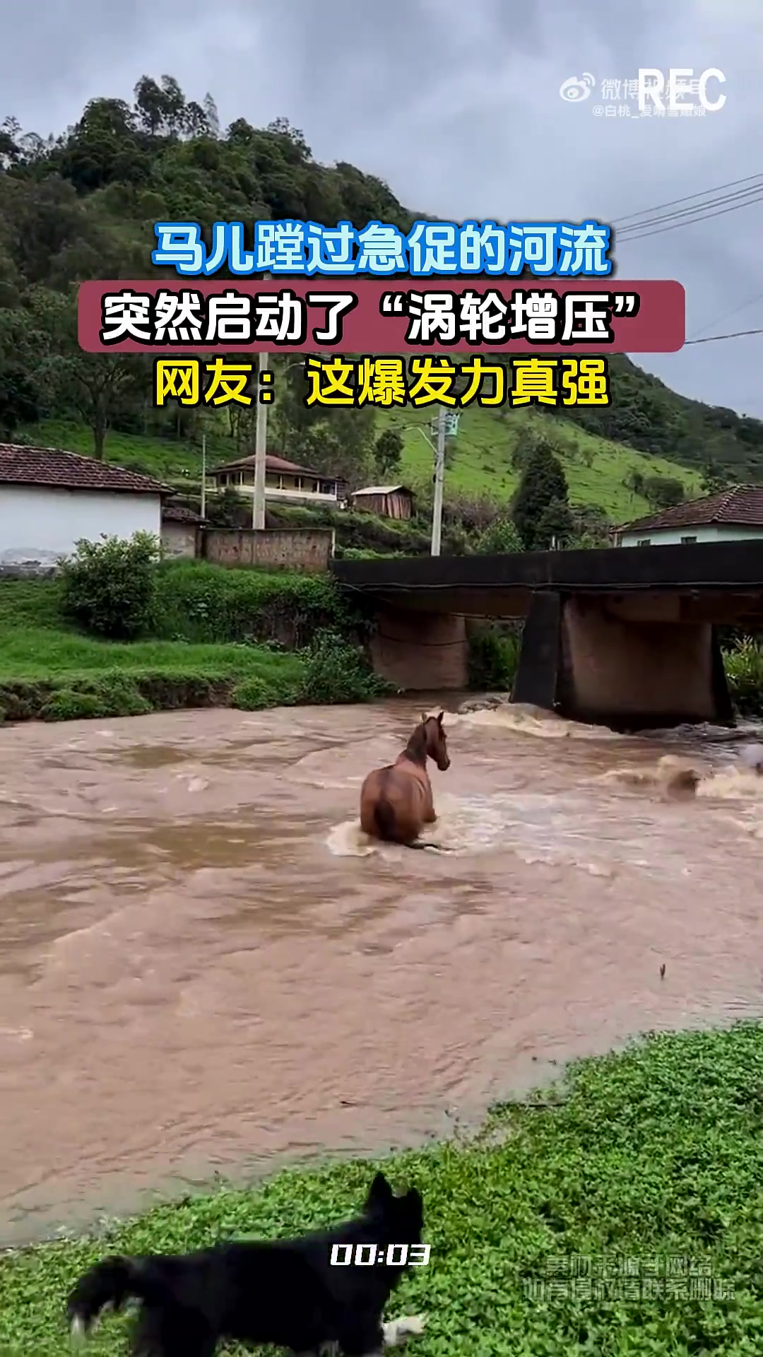 马儿蹚过急促的河流，突然启动了“涡轮增压”