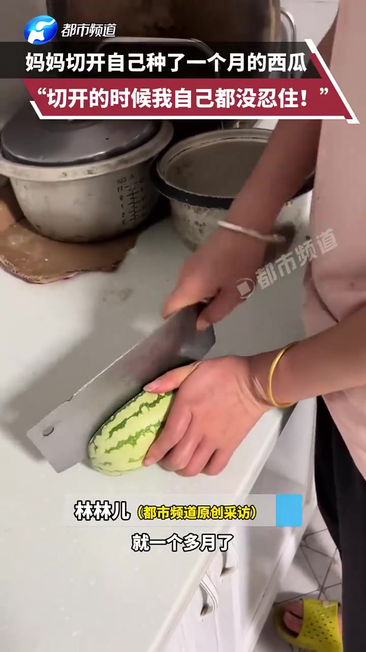 妈妈切开自己种了一个月的西瓜“切开的时候我自己都没忍住！！